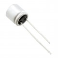RS61C101MDS1 - CAP ALUM POLY 100UF 20% 16V T/H