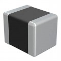 CBC3225T220KRV - FIXED IND 22UH 500MA 351 MOHM