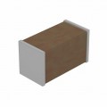 0402BW105K160NGT - CAP CER 1UF 16V X5R 0402