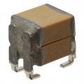 RH221C106MA3RA3 - CAP CER 10UF 100V X7R SMD