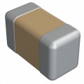 040230500101JXT - CAP CER 100PF 50V X7R 0402