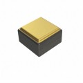 118CL101M100TT - CAP CER 100PF 100V NONSTND