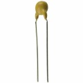 ECK-N3A101KBP - CAP CER 100PF 1KV Y5P RADIAL