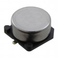 FCS0H224ZFTBR24 - CAP 220MF -20% +80% 5.5V SMD
