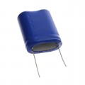 SCMT32H755SRBB0 - CAP 7.5F -10% +30% 6V T/H