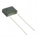 R75GF31004030J - CAP FILM 0.1UF 5% 160VDC RADIAL