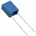 B32529C3104K289 - CAP FILM 0.1UF 10% 250VDC RADIAL