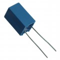 B32529D1105J189 - CAP FILM 1UF 5% 100VDC RADIAL