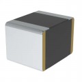 ECW-U1562JX5 - CAP FILM 5600PF 5% 100VDC 1210