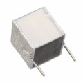 B32560J1225J000 - CAP FILM 2.2UF 5% 100VDC 2DIP