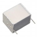 B32562J1106K000 - CAP FILM 10UF 10% 100VDC 2DIP