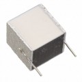 B32561J3105K000 - CAP FILM 1UF 10% 250VDC 2DIP