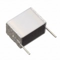 B32561J3474K289 - CAP FILM 0.47UF 10% 250VDC 2DIP