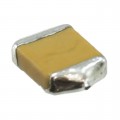 F950J107MTAAQ2 - CAP TANT 100UF 20% 6.3V 1411