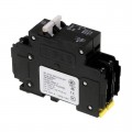 C5A2P-125VDC - CIRCUIT BREAKER 5A 125VDC