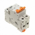 1020013 - CIRCUIT BRAKER 60A