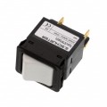 4435.0121 - CIR BRKR THRM 20A 240VAC 60VDC