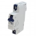 1G10UM - 1G10UM 10A CIRCUIT BREAKER G CHA