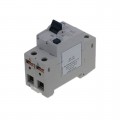 RP2203 - RP2203 25A 30MA 2P EARTH LEAKAGE