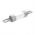 100L09C - FUSE CRTRDGE 100A 600VAC/250VDC
