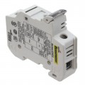CHCC1DIU - FUSE HLDR CART 600V 30A DIN RAIL