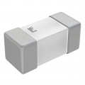 047601.6MR - FUSE BRD MNT 250VAC/125VDC 2SMD