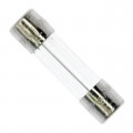 0034.3130 - FUSE GLASS 20A 250VAC 5X20MM