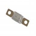 MGGA-175A - LIMITER FUSE, TIME DELAY, 175A