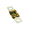 153.5395.6101 - FUSE AUTO 100A 32VDC