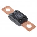 0MEG300.L - FUSE AUTO 300A 32VAC/VDC 50PC