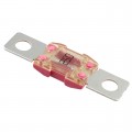 153.5395.6251 - FUSE AUTO 250A 32VDC