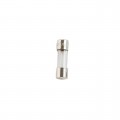 FSE-100MA - GLASS FUSE - 5X15MM, FAST 100MA