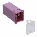 0495030.U - FUSE AUTO 30A 32VDC AUTO LINK