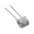 B88069X4180B502 - GDT 300V 2.5KA 2 POLE TH