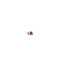 043341 - 2MM HM CODE KEY F 4578 NT BRWN