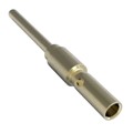 1-2314102-1 - CONTACT PIN 20AWG 1MM CRIMP GOLD