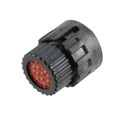 TN6S16-0019P2L - CONN PLUG HSG MALE 19POS INLINE