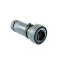 PXP7010/32P/CR/0911 - CONN PLG HSG MALE 32POS INLINE