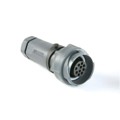 PXP7011/32S/CR/1113 - CONN RCPT HSG FMALE 32PS INLINE