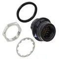 HR30-7R-12P(31) - CONN RCPT MALE 12P GOLD SLDR CUP