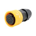 24024231-02 - CONN PLUG FMALE 24P SOLDER CUP