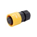 23008231-01 - CONN PLUG FMALE 8POS SOLDER CUP