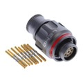 FGS.1M.308.XLMT - CONN PLUG FMALE 8POS GOLD CRIMP
