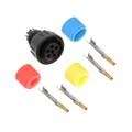 ACB-06BFFC-SL7AP0 - CONN PLUG FMALE 6POS GOLD CRIMP