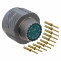 ALM06FD13-98P(072) - CONN PLUG MALE 10POS GOLD CRIMP