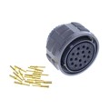 ALM06FD21-16S(072) - CONN PLUG FMALE 16POS GOLD CRIMP