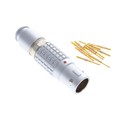 FGG.3B.310.CYCD72Z - CONN PLUG MALE 10POS GOLD CRIMP
