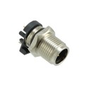 43-01185 - CONN RCPT MALE 5POS GOLD SOLDER
