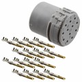 1598295 - CONN MALE INSERT 12P GOLD CRIMP