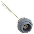 8P1P002210GRBR1 - CONN RCPT FMALE 2POS GOLD SOLDER
